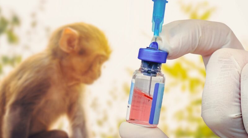 Segundo caso de viruela de mono en la provincia de Santa Fe